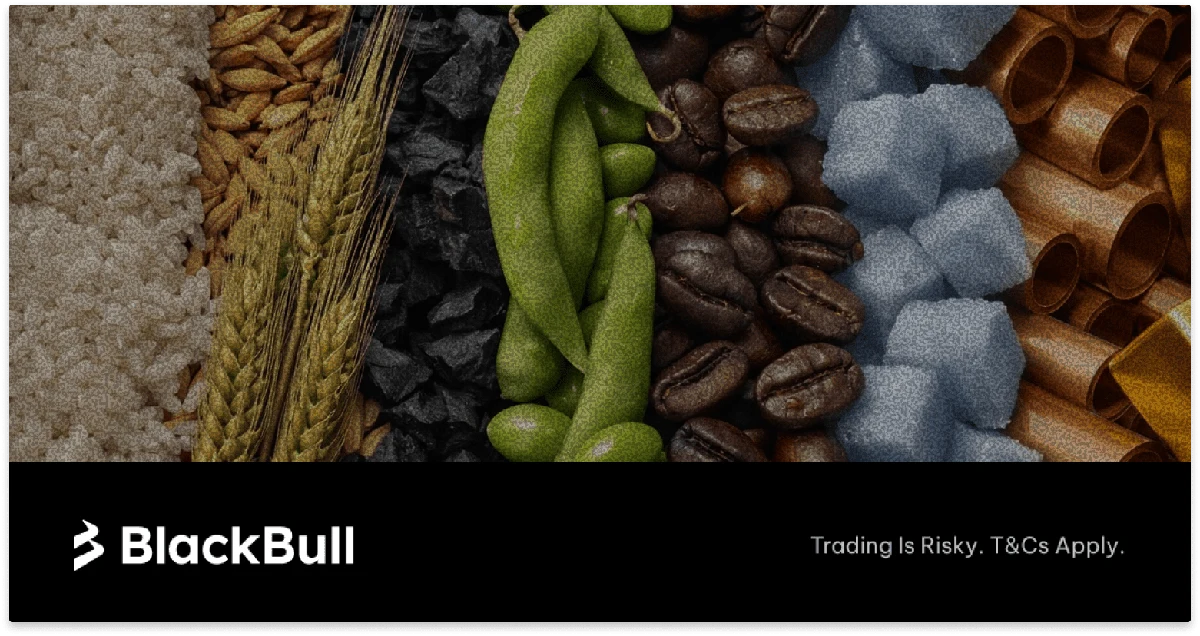 New Commodities Launched at BlackBull Markets